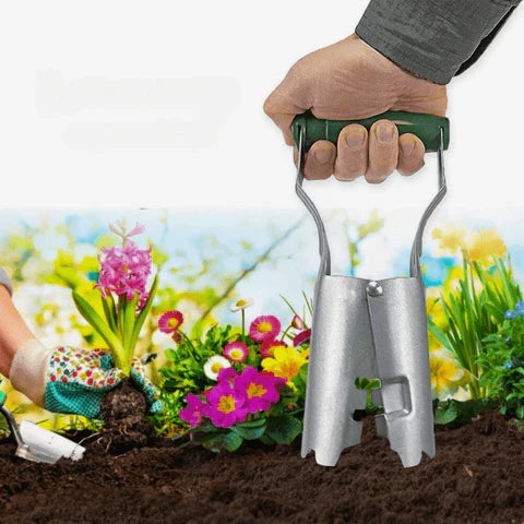 Planter til løgplanter