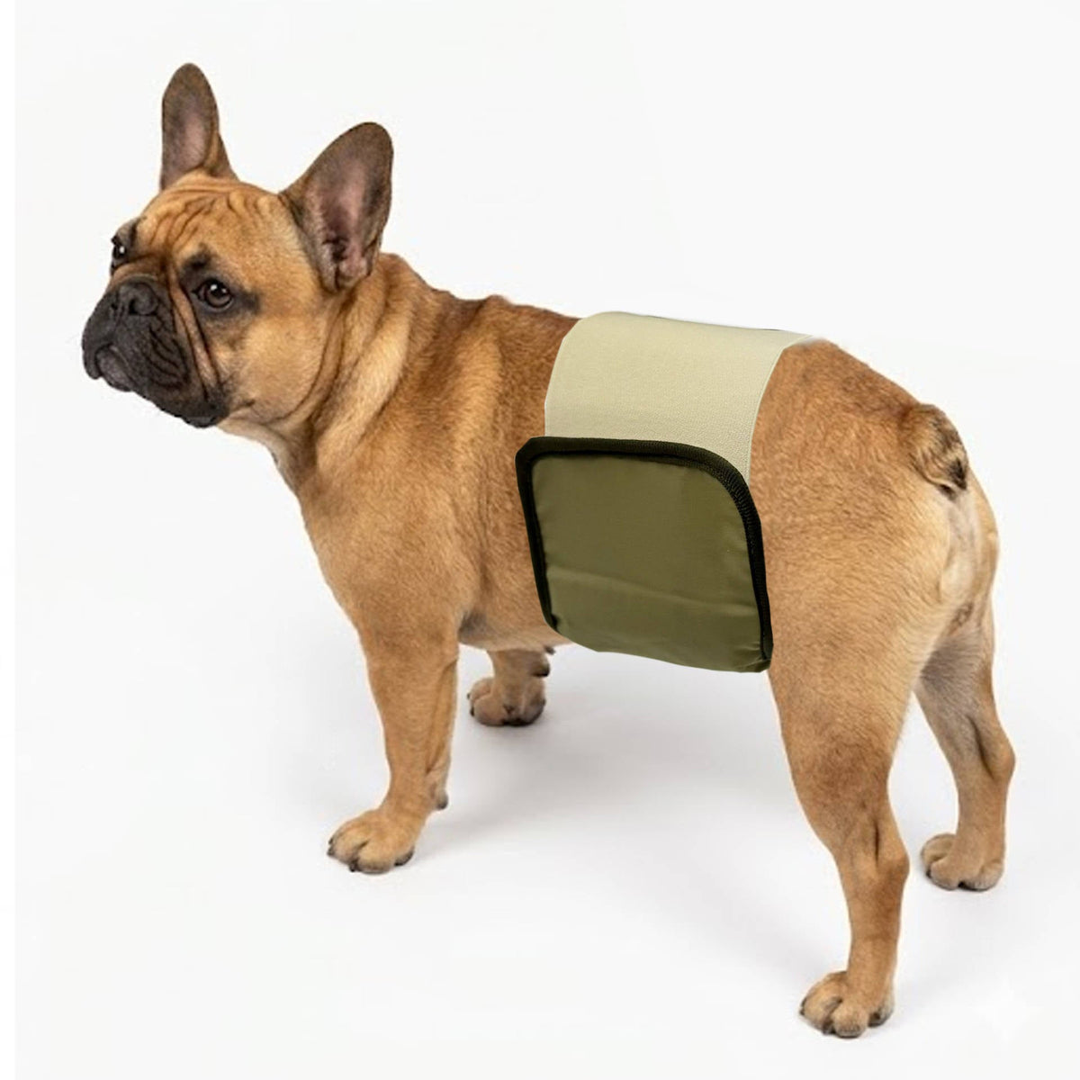 Vaskbare mavebånd til hanhunde, 3 stk. med justerbar velcro