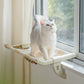 Moderne kattepind i vinduet Pink