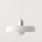 Nordisk hængende loftslampe