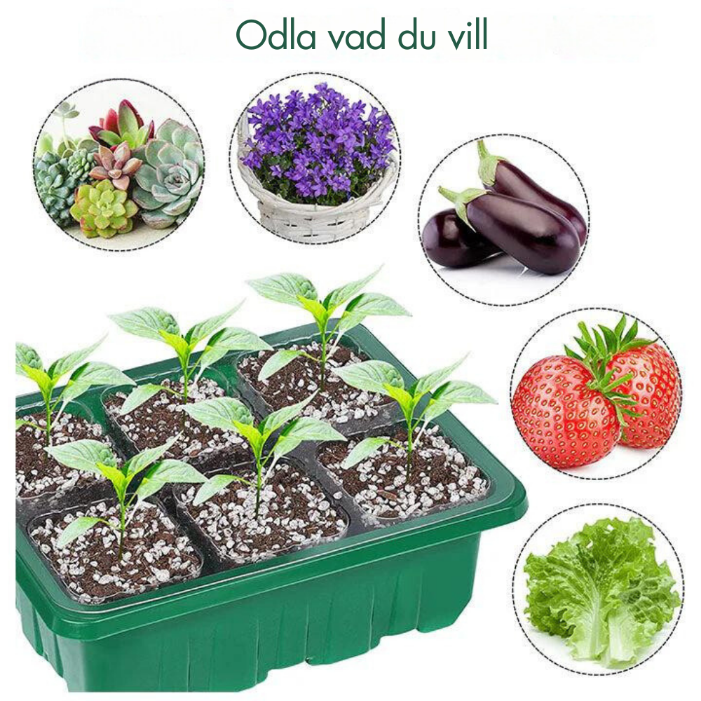 Startbakke til drivhusfrø med vækstlys