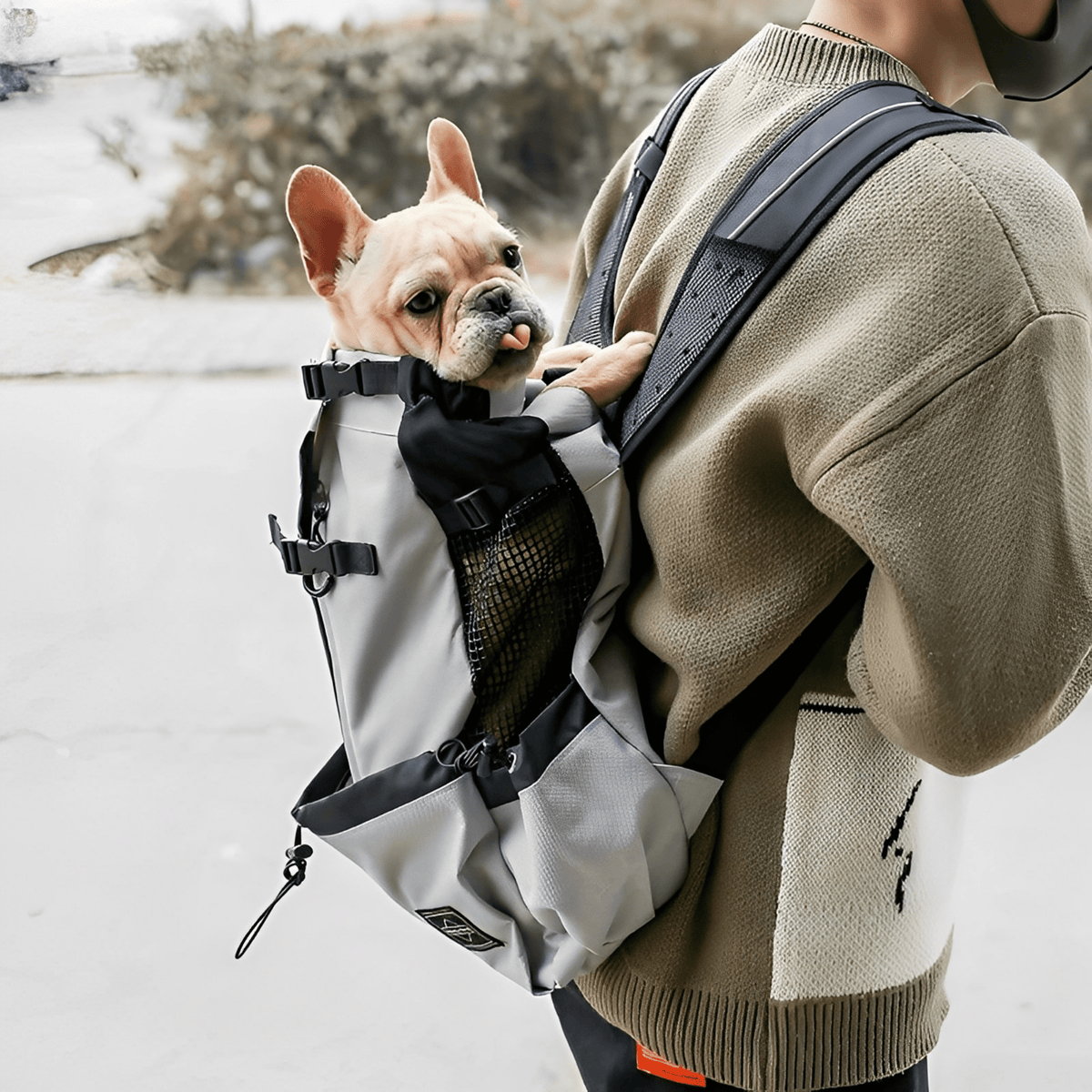 Bærerygsæk til hunde med størrelser til hunde på 1–12 kg